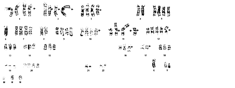 Illustration for article titled Name that disease